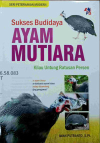 sukses budidaya ayam mutiara