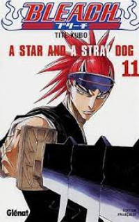 BLEACH A STAR AND A STRAY DOG 11