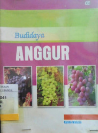 BUDIDAYA ANGGUR