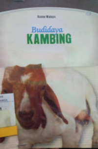 BUDIDAYA KAMBING