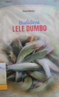 BUDIDAYA LELE DUMBO