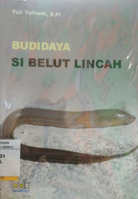 BUDIDAYA SI BELUT LINCAH