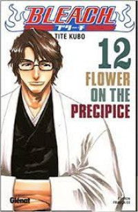 Bleach 12 Flower On The Precipice