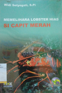 MEMELIHARA LOBSTER HIAS SI CAPIT MERAH