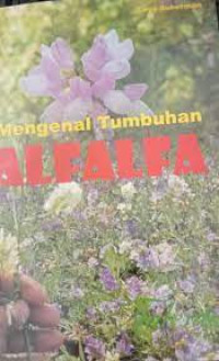 Mengenal Tumbuhan Alfalfa