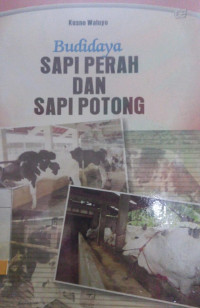 budidaya sapi perah dan sapi potong